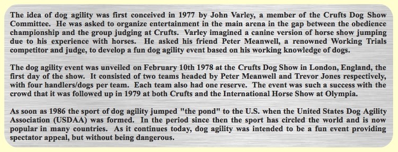 The origina of dog agility